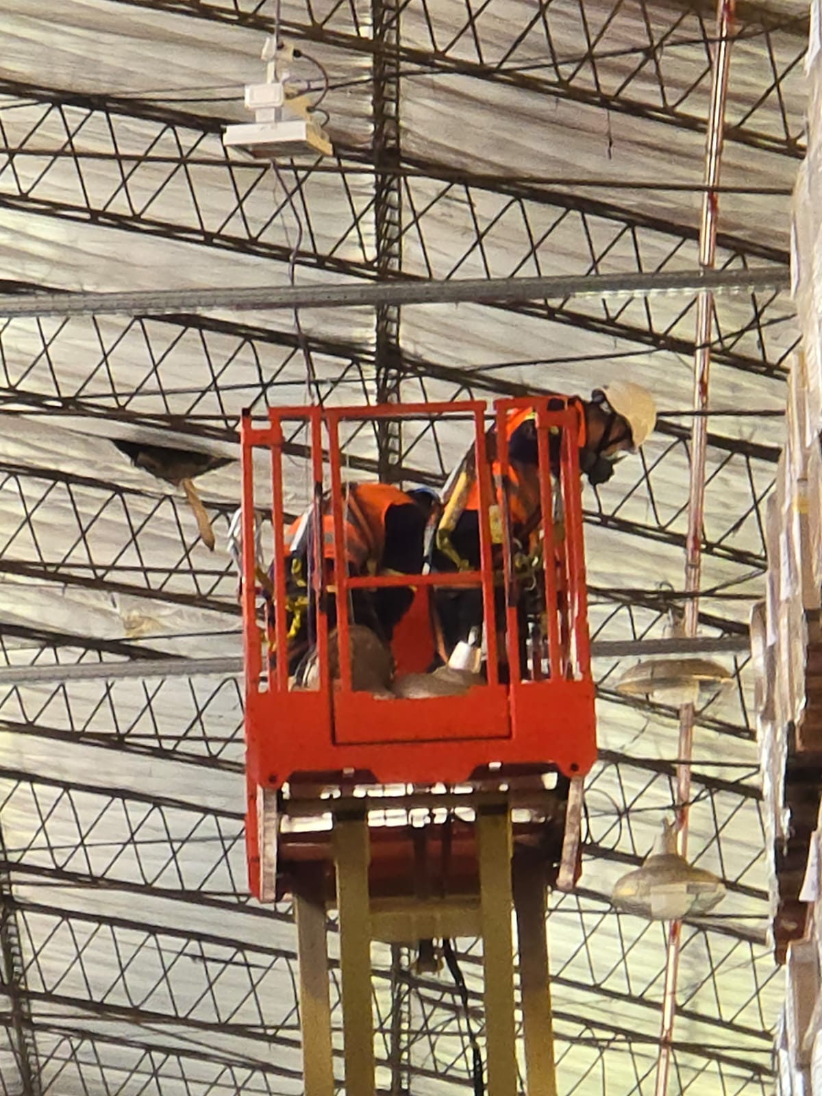 Iluminación y relamping 18